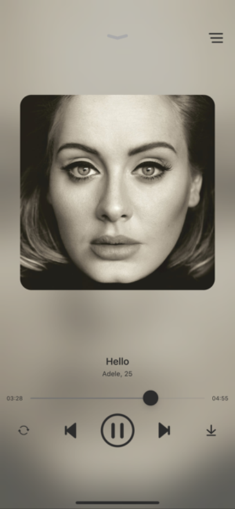 Image 2 for Musica Unlimited Player