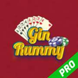 Icon of program: Gin Rummy Pro for Windows…