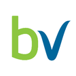 Icon of program: BolehVPN