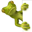 Icon of program: Spycam Lizard