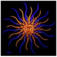 Icon of program: Cusp Astrology