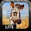 Icon of program: Khumba The Game - Lite